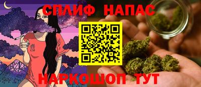 мдпв Нальчик