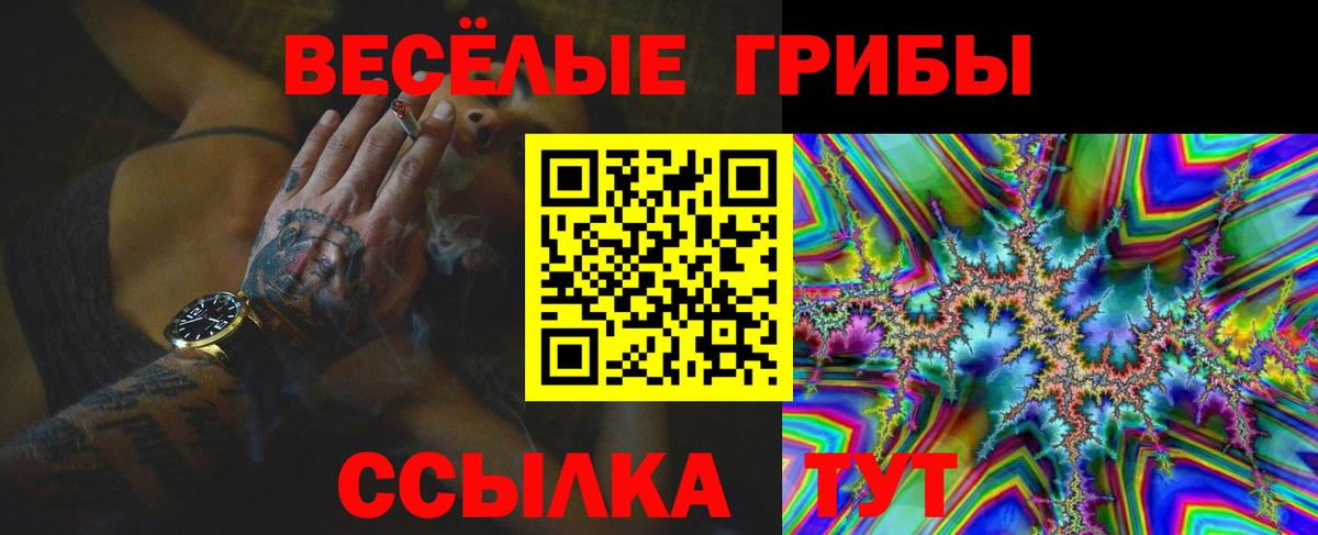 Тында  Галлюциногенные грибы MAGIC MUSHROOMS  Вход с VPN 