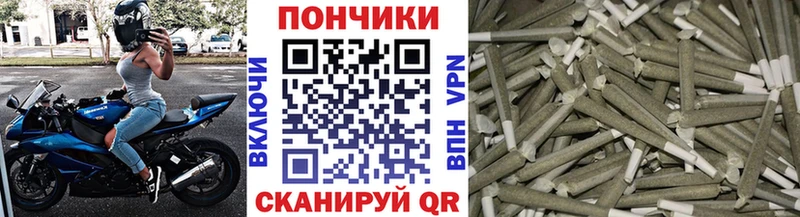 где можно купить наркотик Тында Бошки марихуана SATIVA & INDICA